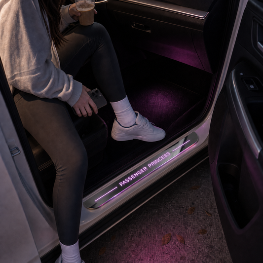 Passenger Princess LED Door Sill Lights