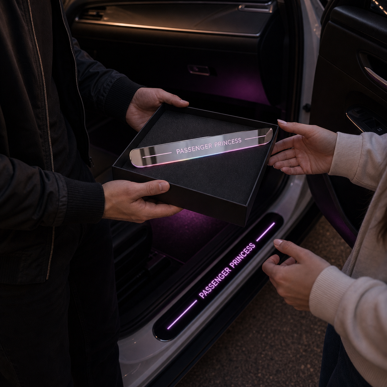Passenger Princess LED Door Sill Lights