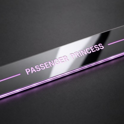 Passenger Princess LED Door Sill Lights